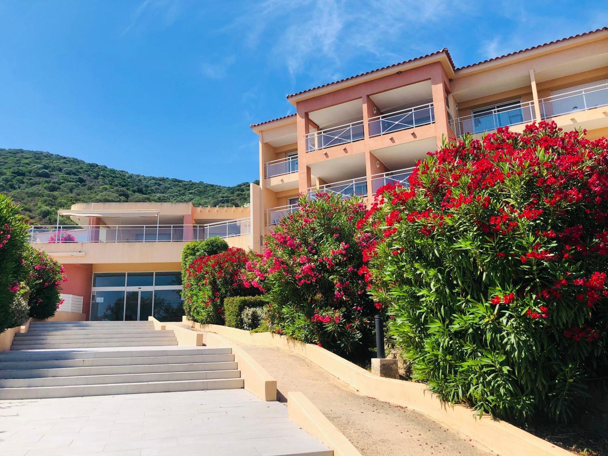 Evasion Corse - T2 Vue Mer, Piscine & Plage Ajaccio  Dış mekan fotoğraf
