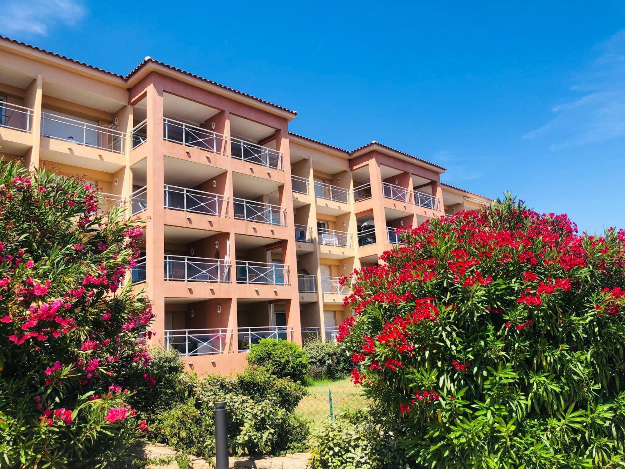 Evasion Corse - T2 Vue Mer, Piscine & Plage Ajaccio  Dış mekan fotoğraf